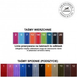 Smycz przepinana, szerokość 2,5cm dla średnich i dużych psów