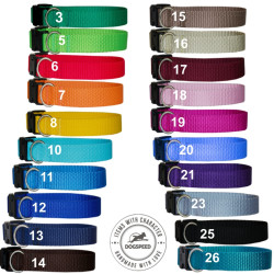 Obroża o szerokości 2,0 cm z haftem, na wyprawkę dla szczeniąt średnich i dużych ras.