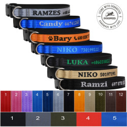 personalizowana obroża z haftem numeru telefonu