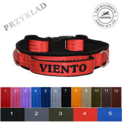 Personalizowana obroża z rączką i numerem telefonu