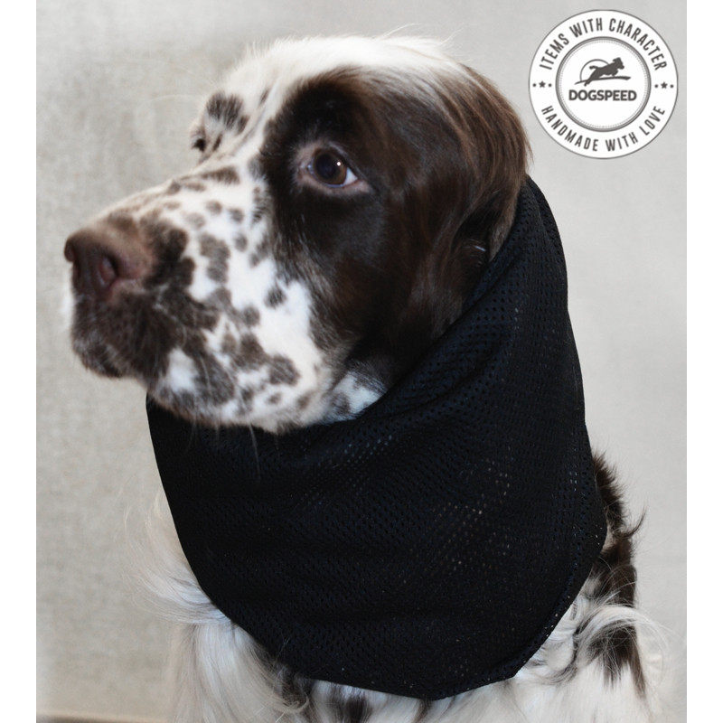 snood siateczkowy dla psa spaniel