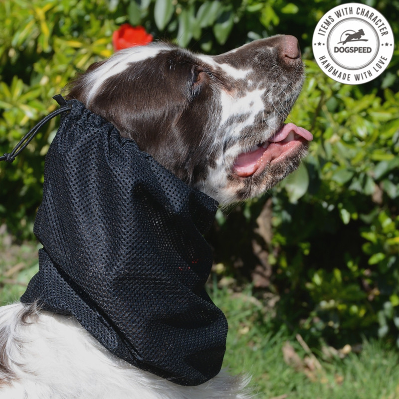 snood siateczkowy dla psa spaniel