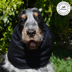 snood dla cocker spaniel uszy ochrona