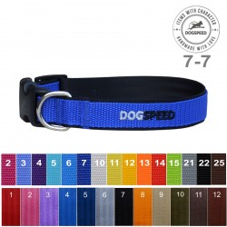 Obroża zapinana na zatrzask o szerokości 2,5 cm