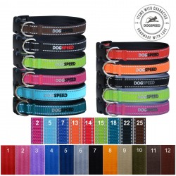 Obroża - seria TS31 TO50 (szer. 2,5 cm)