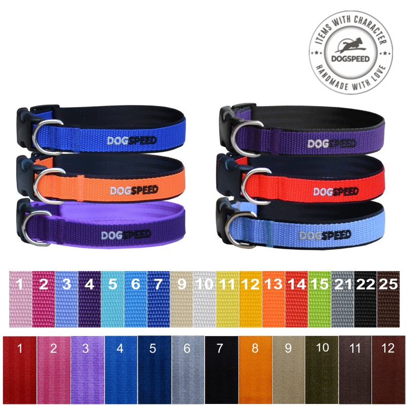 Obroża zapinana na zatrzask o szerokości 2,5 cm