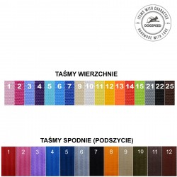 Obroża zapinana na zatrzask o szerokości 2,5 cm